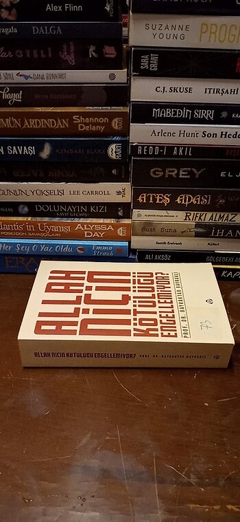 Allah Niçin Kötülüğü Engellemiyor?
- Görsel 3