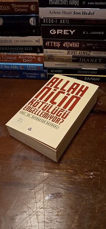 Allah Niçin Kötülüğü Engellemiyor?
- Görsel 19