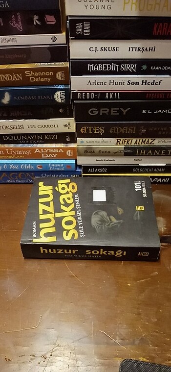 HUZUR SOKAĞI (NORMAL ROMAN BOY)

2011 - Görsel 14