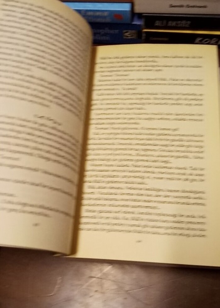 HUZUR SOKAĞI (NORMAL ROMAN BOY)

2011 - Görsel 5