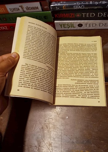  Beden Renk Mısır'ın Ölüler Kitabı - Albert Cramdoor