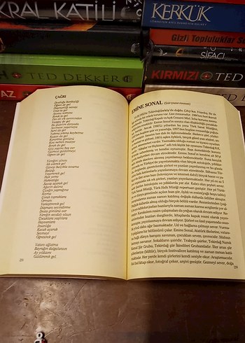 Türk Dünyası Kadın Şairleri Şiir Antolojisi - Görsel 7