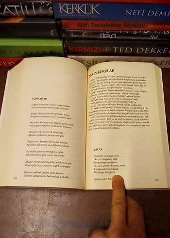 Türk Dünyası Kadın Şairleri Şiir Antolojisi - Görsel 10