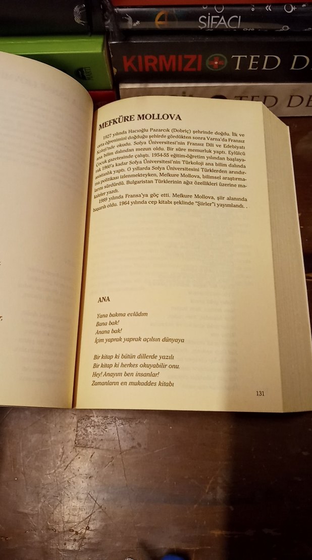Türk Dünyası Kadın Şairleri Şiir Antolojisi - Görsel 5