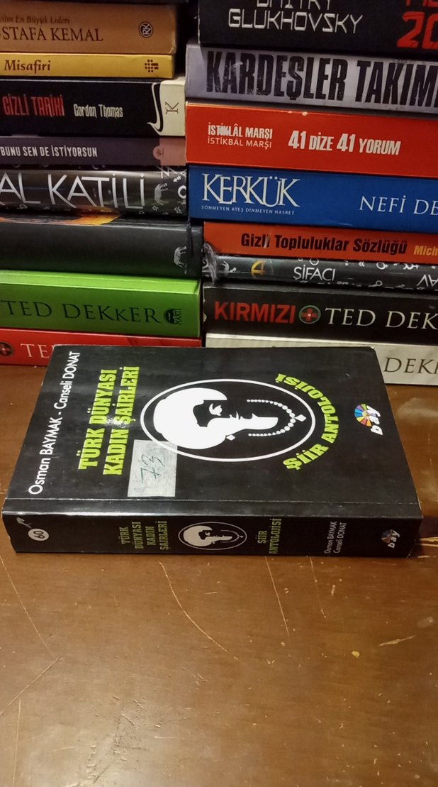 Türk Dünyası Kadın Şairleri Şiir Antolojisi - Görsel 2