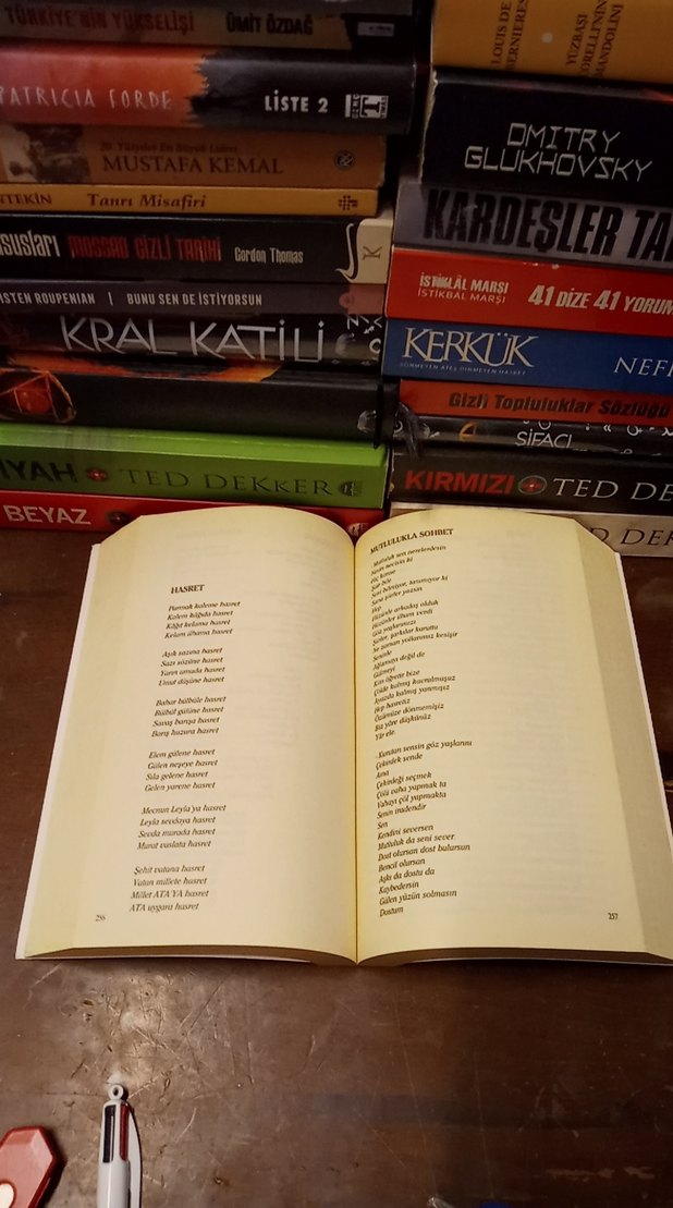 Türk Dünyası Kadın Şairleri Şiir Antolojisi - Görsel 3