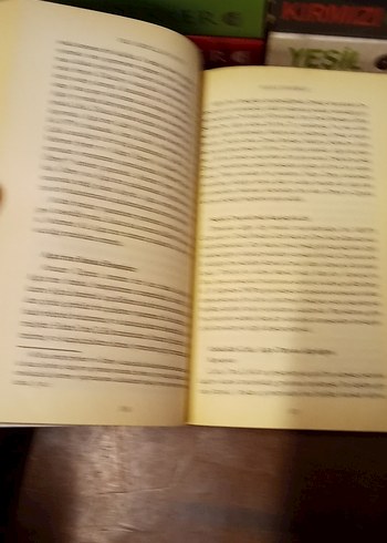 Vedat Demiröz - Reis Abdullah Çatlı Romanı - Görsel 6