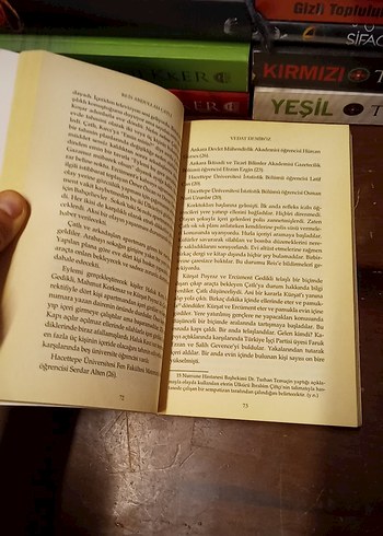 Vedat Demiröz - Reis Abdullah Çatlı Romanı - Görsel 8