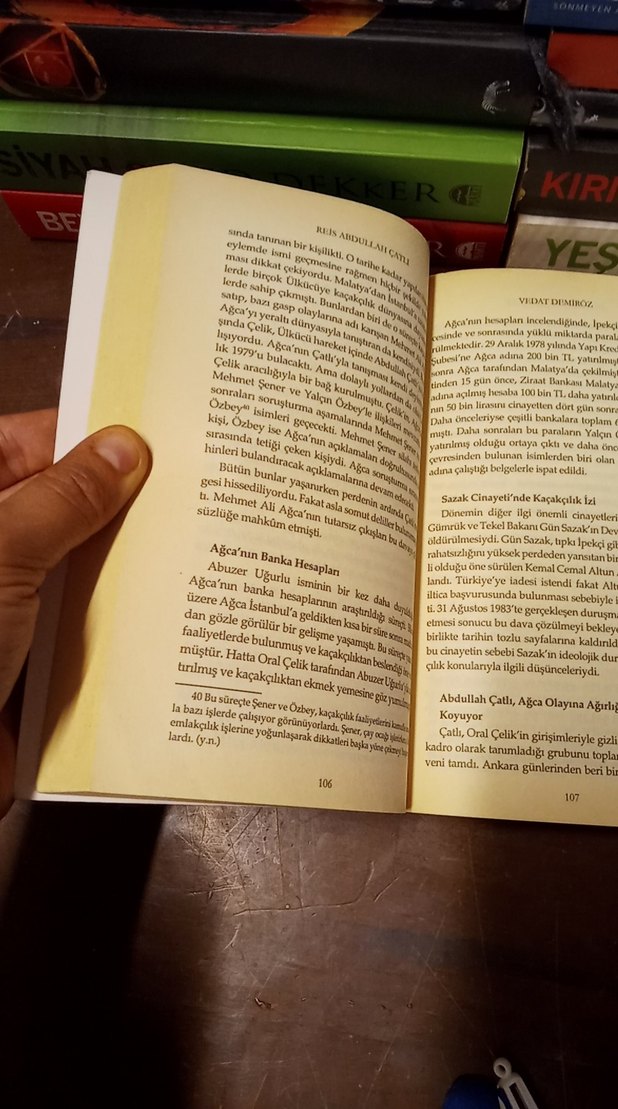 Vedat Demiröz - Reis Abdullah Çatlı Romanı - Görsel 5
