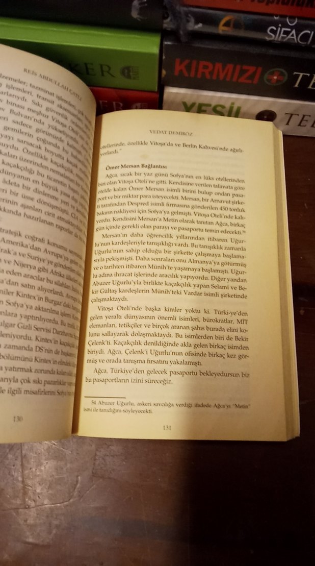 Vedat Demiröz - Reis Abdullah Çatlı Romanı - Görsel 4