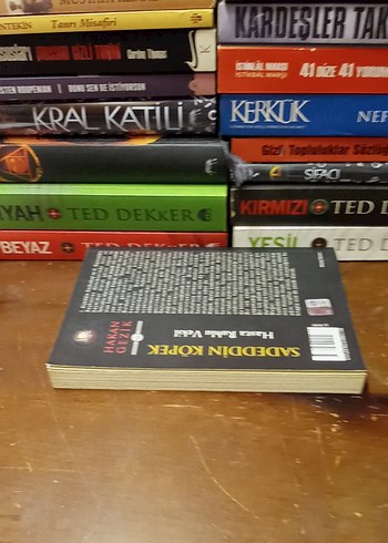 Sadeddin Köpek - Hasta Ruhlu Vekil - Görsel 2