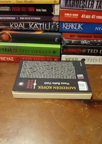 Sadeddin Köpek - Hasta Ruhlu Vekil - Görsel 17