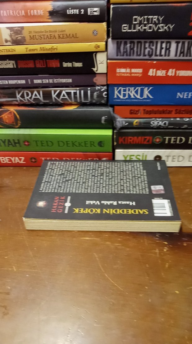 Sadeddin Köpek - Hasta Ruhlu Vekil - Görsel 2