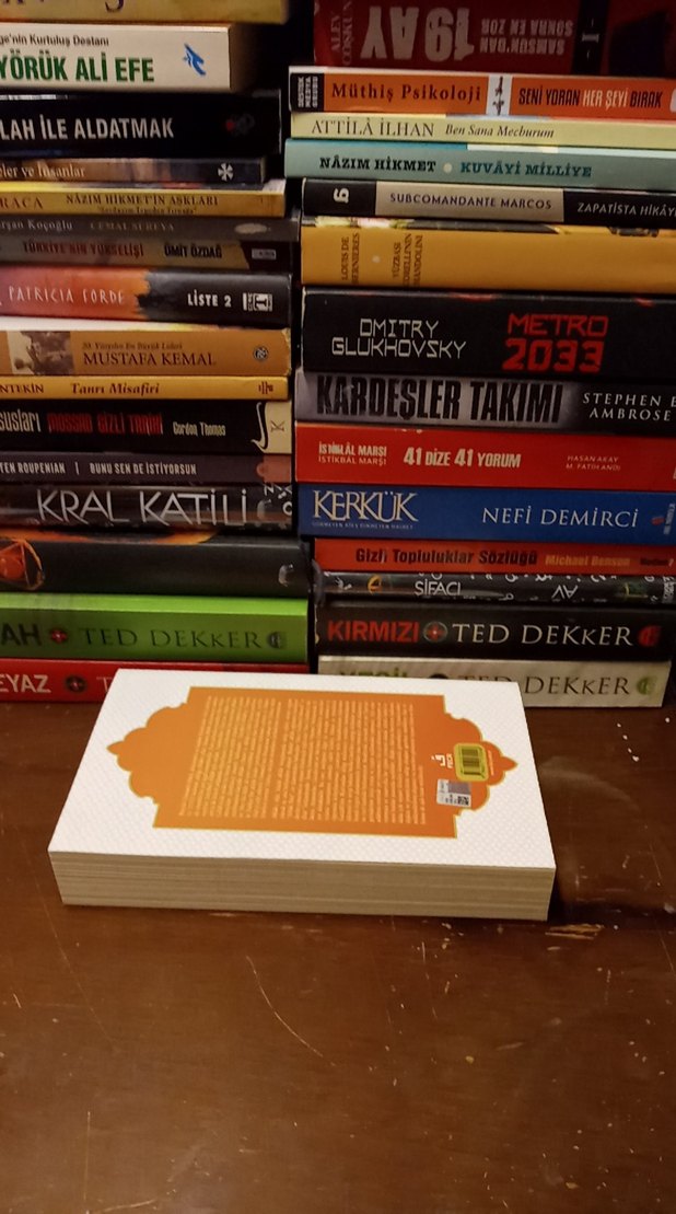 Ahlâk-ı Alâî - Kınalızâde Ali Çelebi - Görsel 2