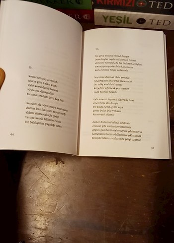 Elele Büyüttük Sevgiyi - Bülent Ecevit - Görsel 5