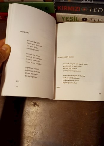 Elele Büyüttük Sevgiyi - Bülent Ecevit - Görsel 8