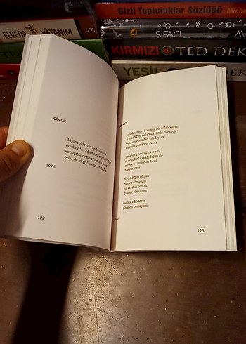 Elele Büyüttük Sevgiyi - Bülent Ecevit - Görsel 11