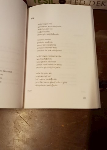 Elele Büyüttük Sevgiyi - Bülent Ecevit - Görsel 17