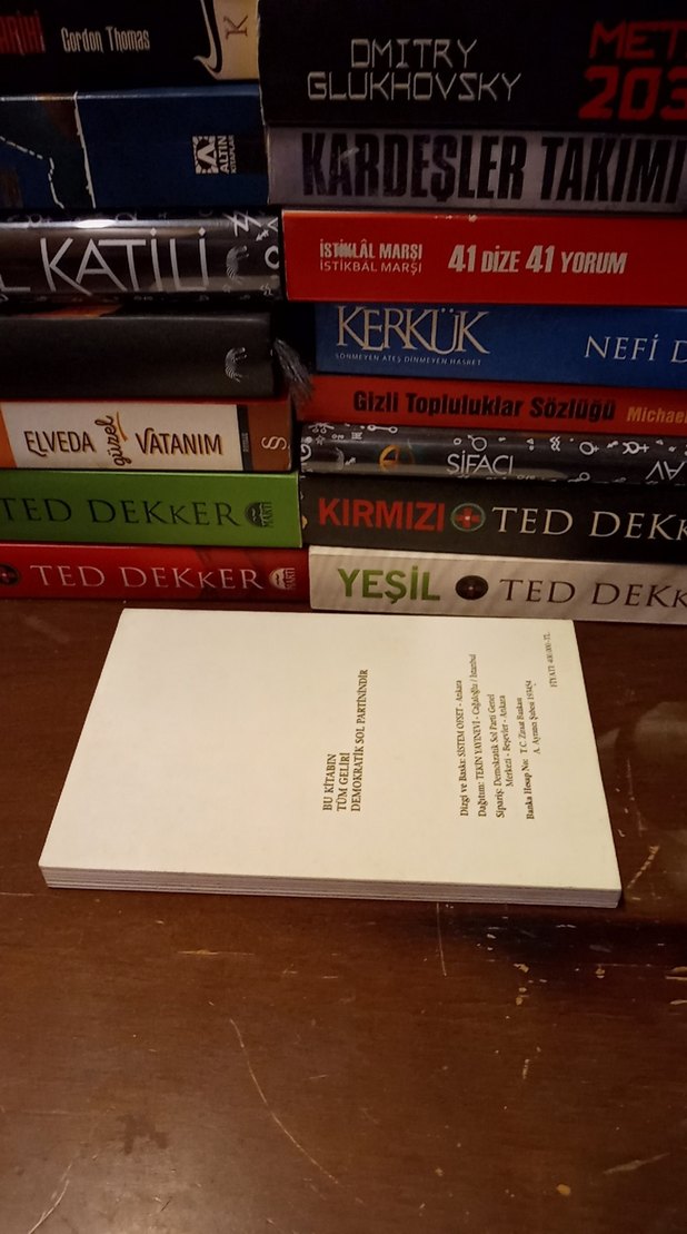 Elele Büyüttük Sevgiyi - Bülent Ecevit - Görsel 2