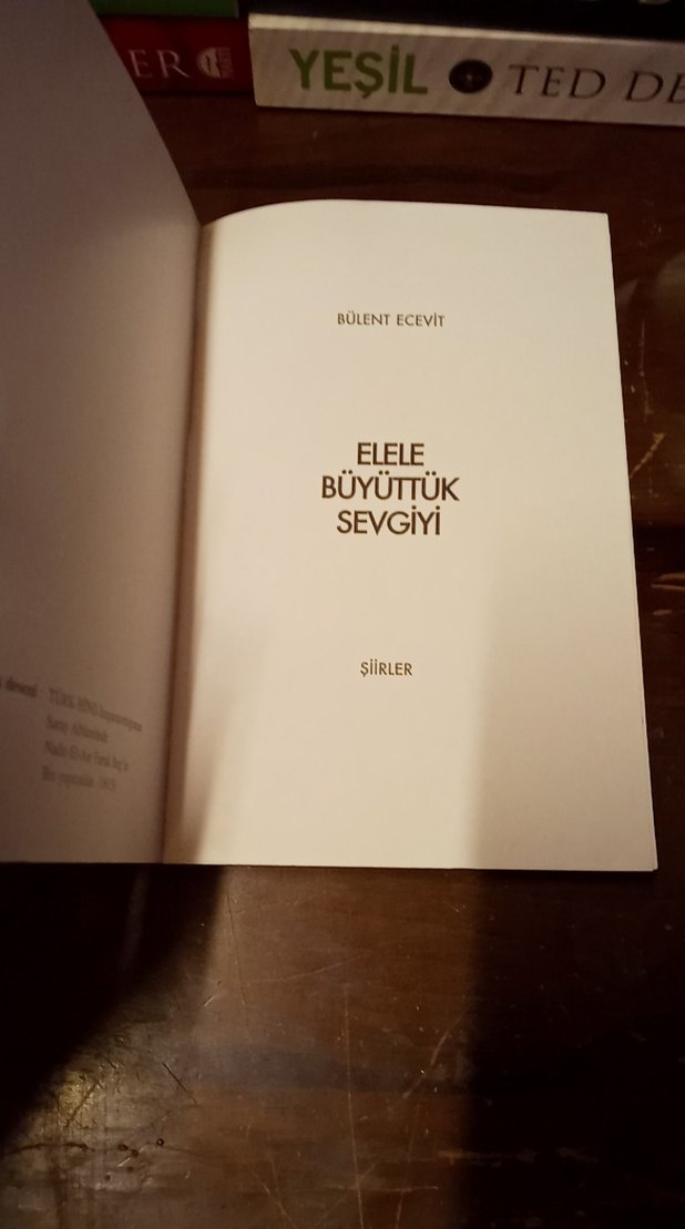 Elele Büyüttük Sevgiyi - Bülent Ecevit - Görsel 3