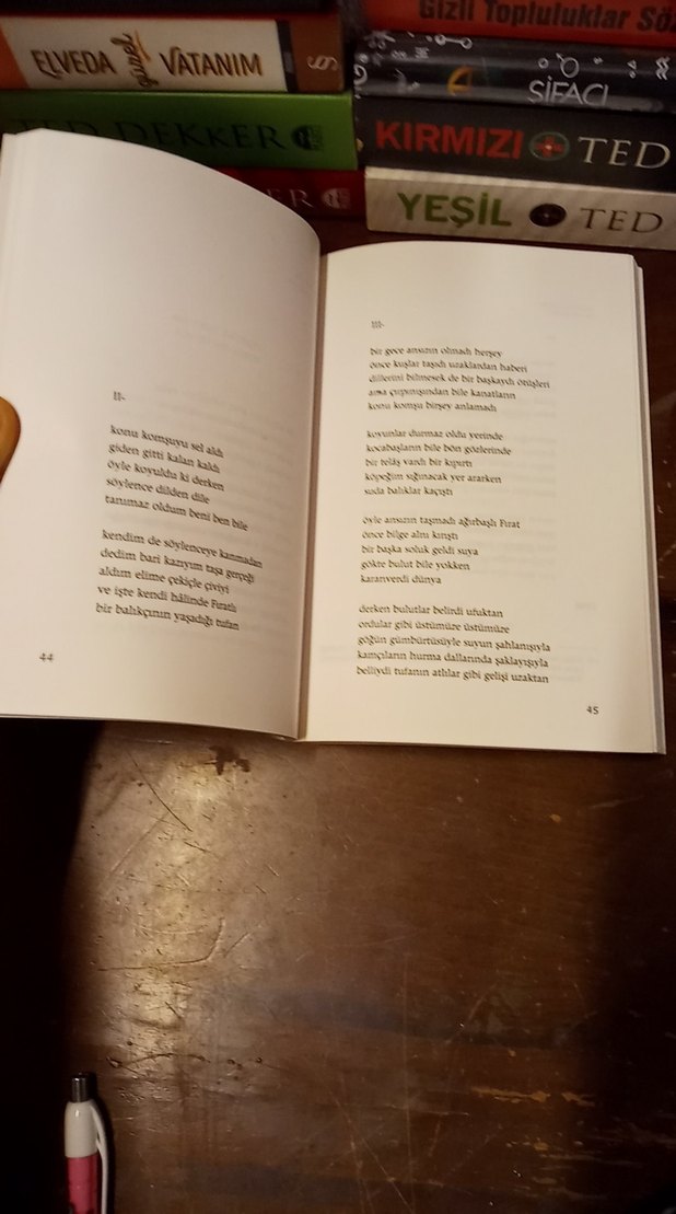 Elele Büyüttük Sevgiyi - Bülent Ecevit - Görsel 5