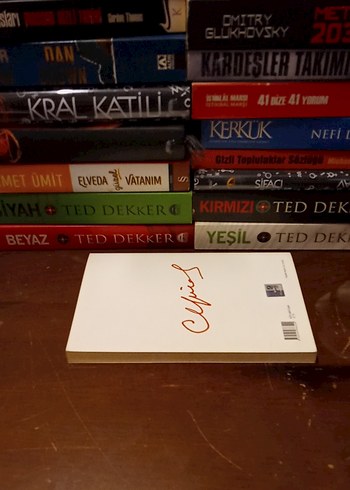 Can Yücel - Renganenk Sanat Kitabı - Görsel 2