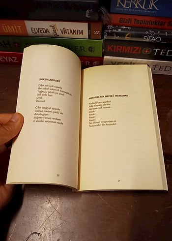 Can Yücel - Renganenk Sanat Kitabı - Görsel 3