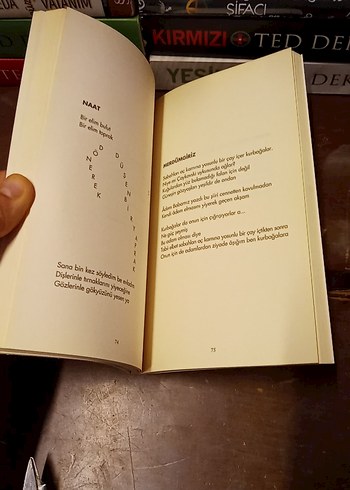 Can Yücel - Renganenk Sanat Kitabı - Görsel 5