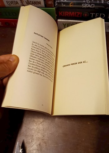 Can Yücel - Renganenk Sanat Kitabı - Görsel 6