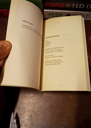 Can Yücel - Renganenk Sanat Kitabı - Görsel 8