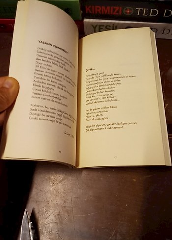 Can Yücel - Renganenk Sanat Kitabı - Görsel 9