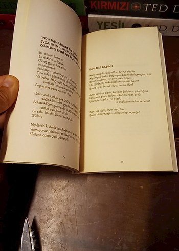 Can Yücel - Renganenk Sanat Kitabı - Görsel 10