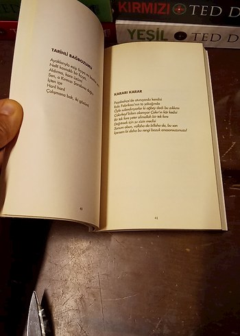 Can Yücel - Renganenk Sanat Kitabı - Görsel 11