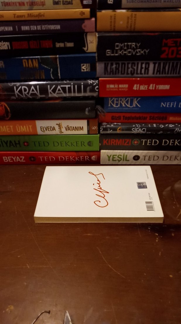 Can Yücel - Renganenk Sanat Kitabı - Görsel 2