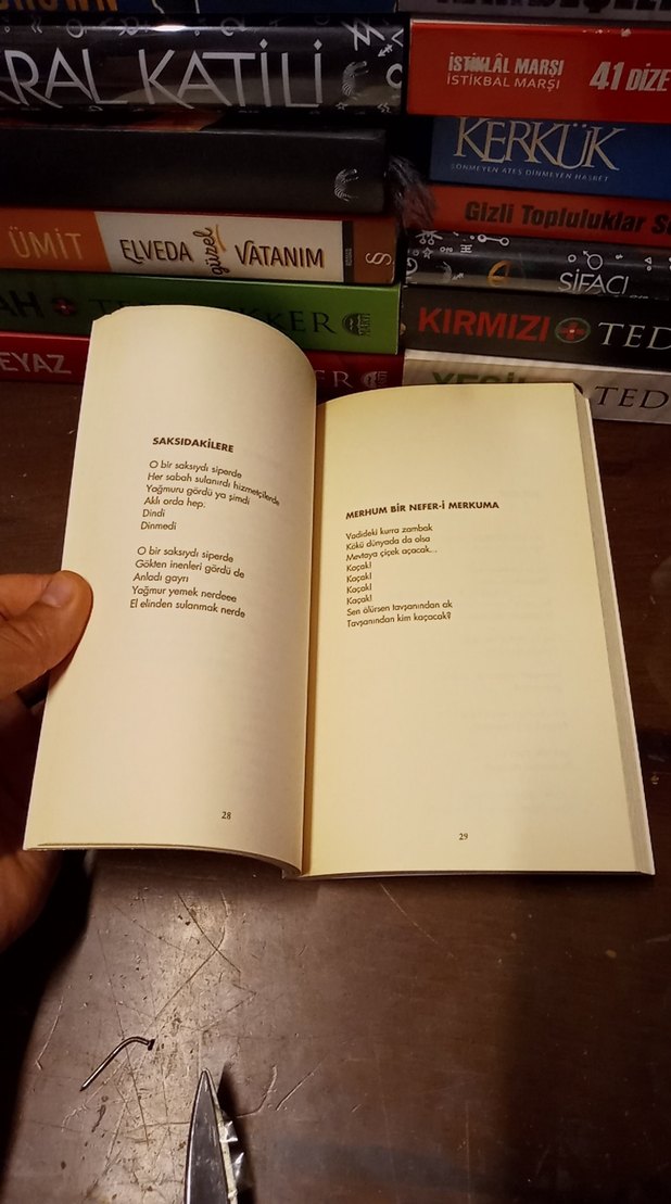 Can Yücel - Renganenk Sanat Kitabı - Görsel 3