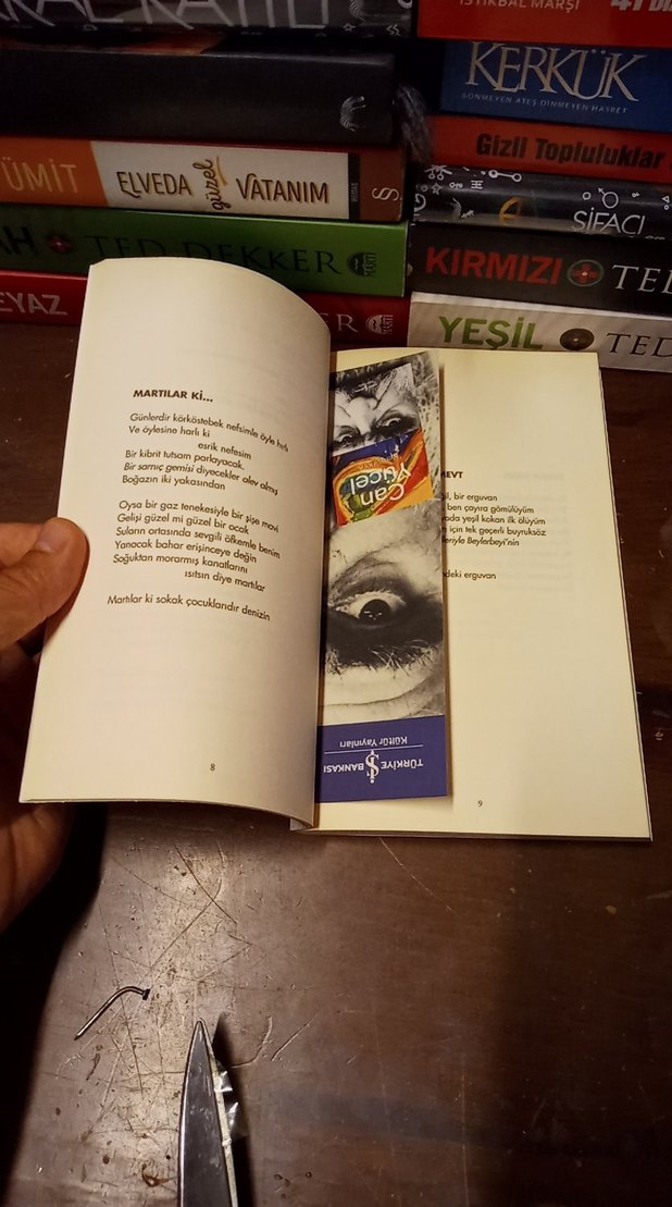 Can Yücel - Renganenk Sanat Kitabı - Görsel 4