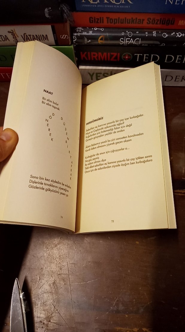 Can Yücel - Renganenk Sanat Kitabı - Görsel 5