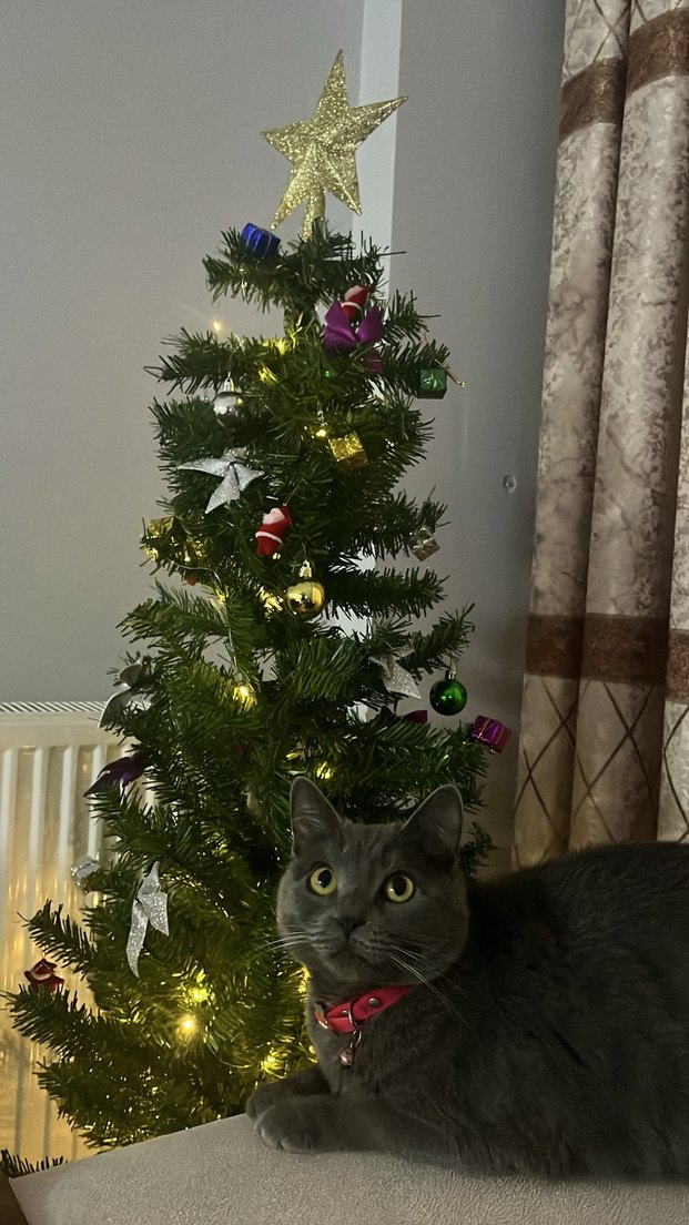 150 cm yılbaşı ağacı - Görsel 2