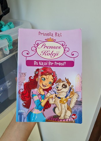 Prunella Bat Prenses Koleji - Bu Nasıl Bir Prens?