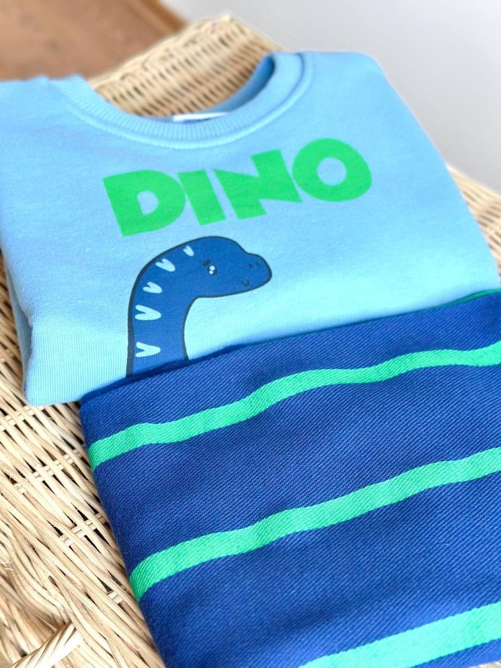 Mavi Dinozor Desenli Bebek Erkek Takımı - Görsel 3