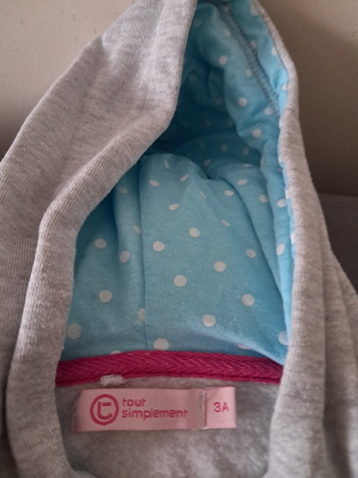 Kapüşonlu Fermuarlı Erkek Çocuk Gri Sweatshirt - Görsel 4