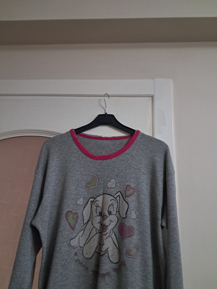 Gri kadın Sweatshirt, Uzun Kollu, Baskılı - Görsel 3