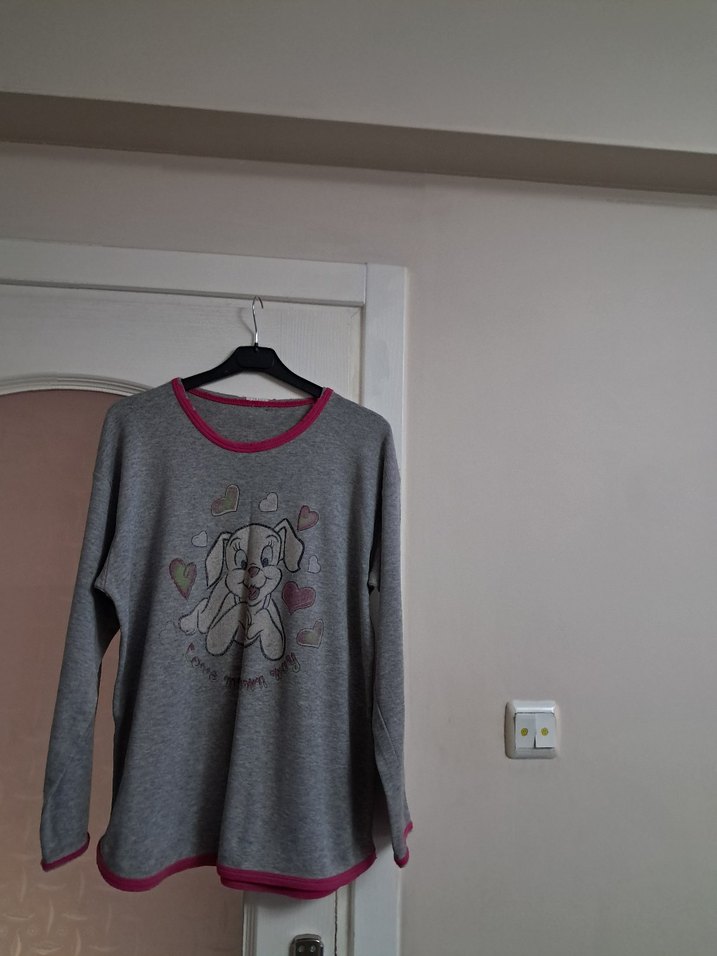 Gri kadın Sweatshirt, Uzun Kollu, Baskılı - Görsel 2