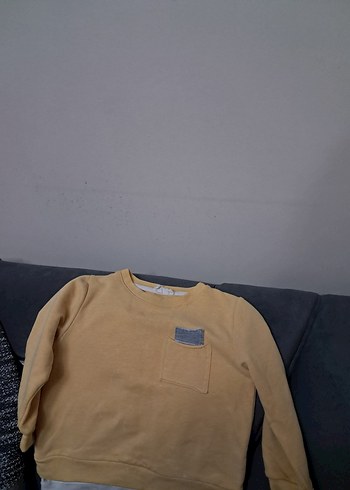 Gri Cep Detaylı Sarı Erkek Sweatshirt - Görsel 15