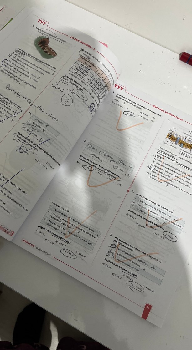 2026 TYT Biyoloji Video Çözümlü Soru Bankası - Görsel 2