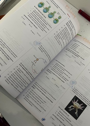 TYT Biyoloji Günlük Çalışma Kitabı Seti Bikaç testi çözülü - Görsel 3