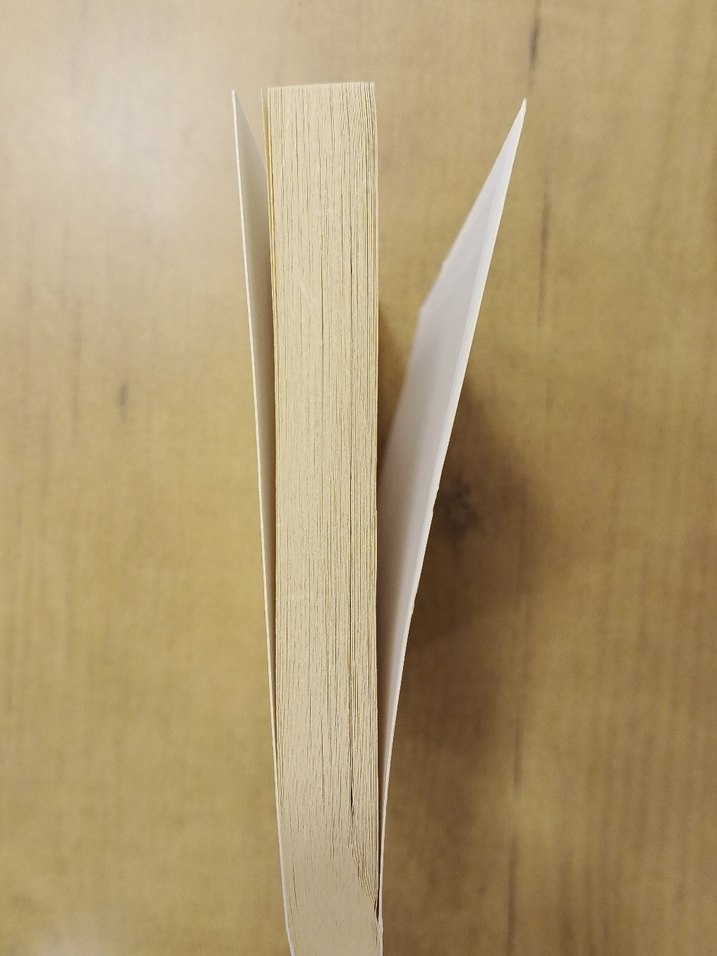 Endişesiz İlaçsız - Doç. Dr. Şafak Nakajima - Görsel 2