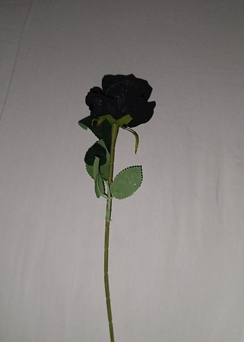 Siyah Gotik Gül - Görsel 2