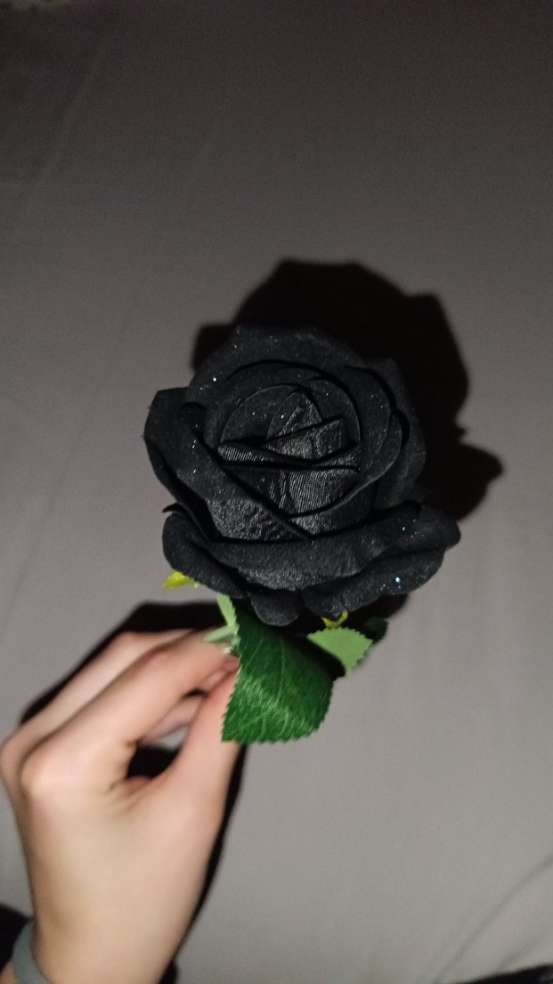 Siyah Gotik Gül - Görsel 3