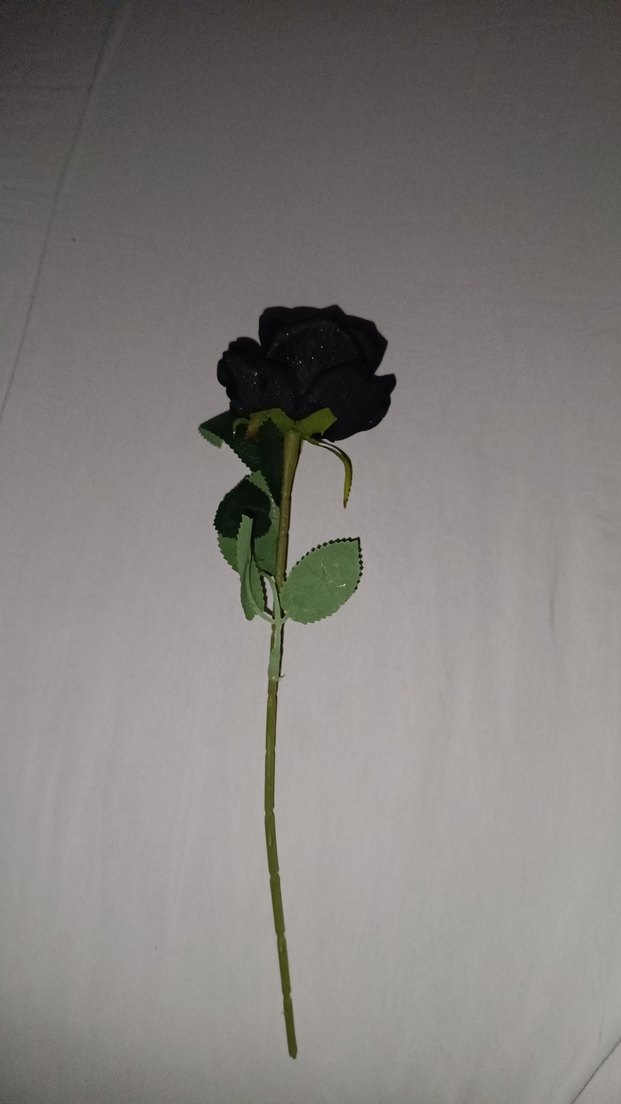 Siyah Gotik Gül - Görsel 2